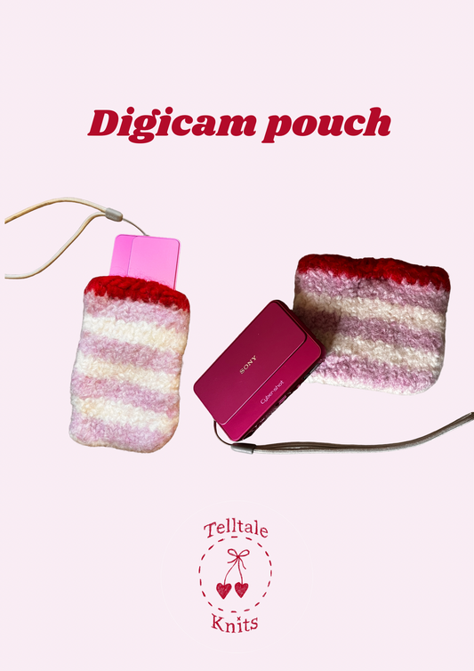 Digicam pouch pattern